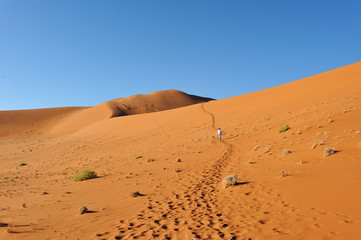 Dunes dans le désert du Namib, Namibie