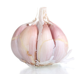 Garlic isolated on white