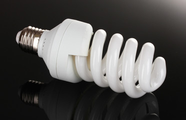 energy saving light bulb on black background.