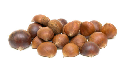 Chestnuts (Castanea sativa) on white background