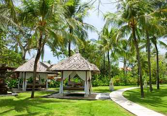 beautiful tropical garden © LiliGraphie