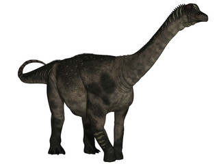 Antarctosaurus wichmannianus - 3D Dinosaurier