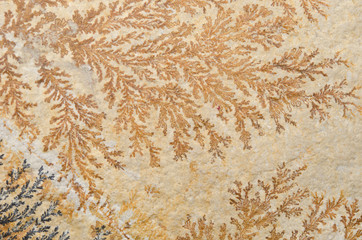 Detail Mineral Solnhofer Plattenkalk, Dendriten (Eisen, Mangan)