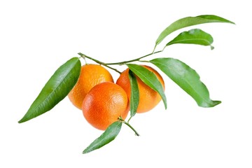 fresh mandarin with leaf isolated on white