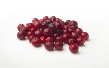 Cowberries