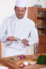 Portrait of a cook in kitchen