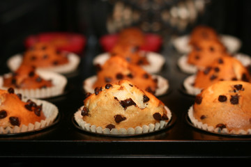 Chocolate chip muffins fresh in oven