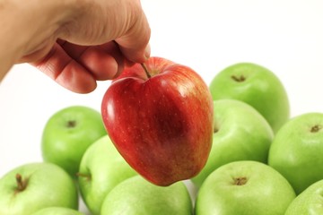 Apfelernte