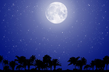 Fototapeta na wymiar Wektorowej palmy na nocnym niebie