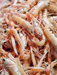 Lots of pink raw shrimps