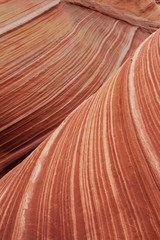 Orange sandstone stripes at the Wave, Arizona