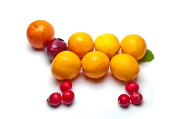 fruits combined as animal