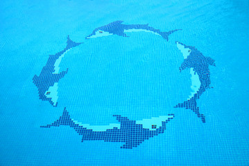 Dolphin motif on bottom of swimming pool in Marbella Spain