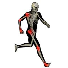 High resolution conceptual 3D human for anatomy