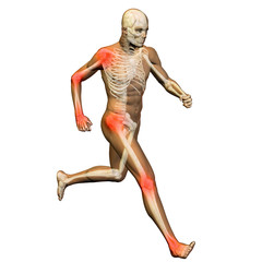 High resolution conceptual 3D human for anatomy