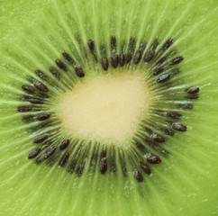 kiwi background
