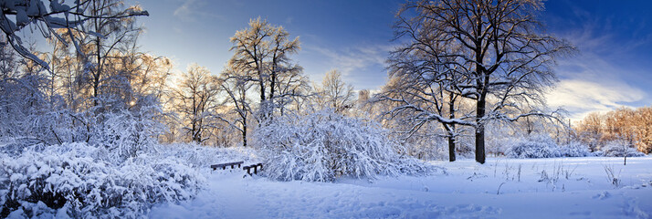 Winterpanorama eines Parks am sonnigen Tag