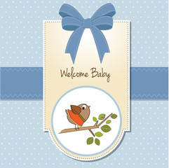 welcome baby card with funny little bird