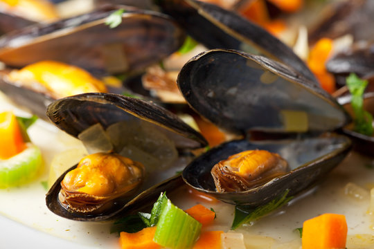 gekochte Muscheln und Gem&uuml;se mit Weinsauce