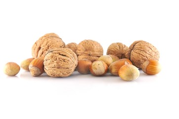 Nueces y avellanas aisladas sobre fondo blanco.
