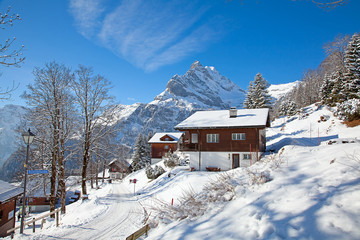 Winter in alps