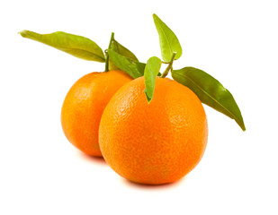 Two ripe  tangerines