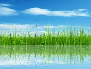 Green grass over a blue sky background