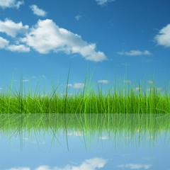 Green grass over a blue sky background