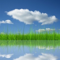 Green grass over a blue sky background