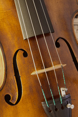 Vintage viola close-up