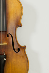 Vintage viola on white background