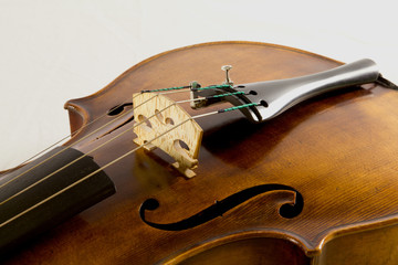 Vintage viola on white background