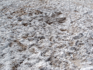 versalzter Boden - oversalted soil