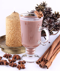 Hot chocolate, cinnamon sticks, aniseeds, cones