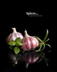 Garlic and herbs with reflection isolated on black