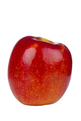 Gala Apple
