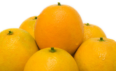 oranges