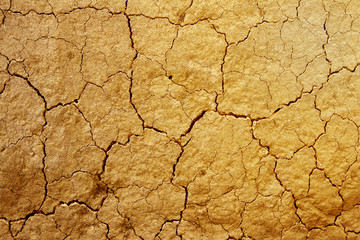 Cracked earth