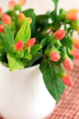 place setting with Decorative peppers centerpiece