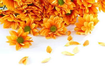 Papier Peint photo Lavable Macro fleurs d& 39 oranger Chrysanthème