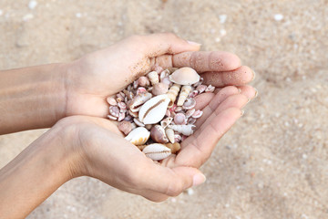 Natural resources from the ocean in your hand.