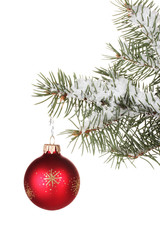 Christmas ball on the tree on white background