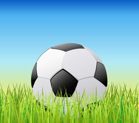 Soccer ball on grass.