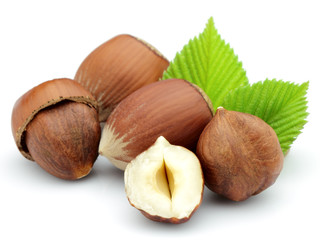 Dried filbert with leaves