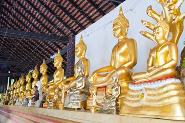 Buddha in row.
