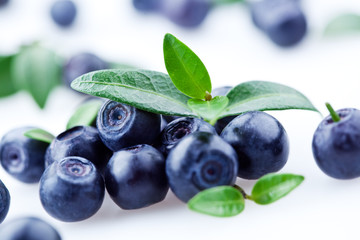 Blueberries on white