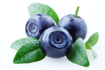 Blueberry. Blueberries on white