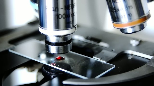 analisi di una goccia di sangue