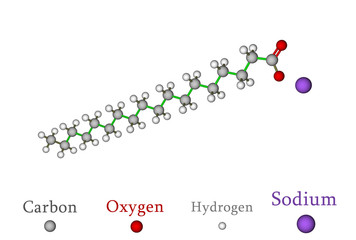 Sodium stearate, the major component of soap