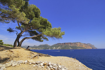 Calanque Port Miou, Cassis, Bouches du Rhoné, Frankreich